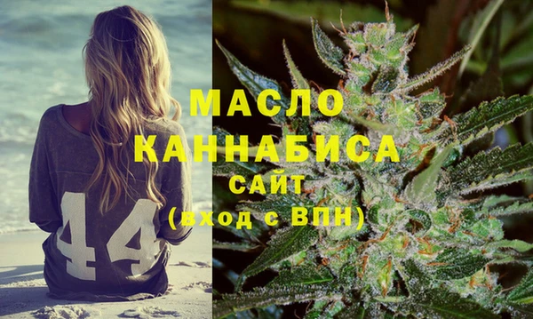 дживик Абаза