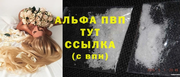 дживик Абаза