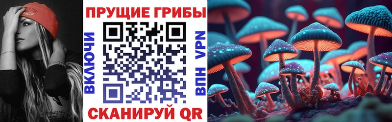 где купить наркоту  Грязи  MEGA онион  Галлюциногенные грибы Psilocybine cubensis 